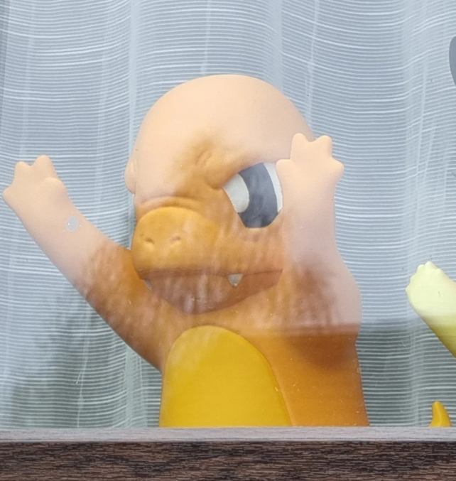 Charmander window pokemon (No AMS) - Image 3